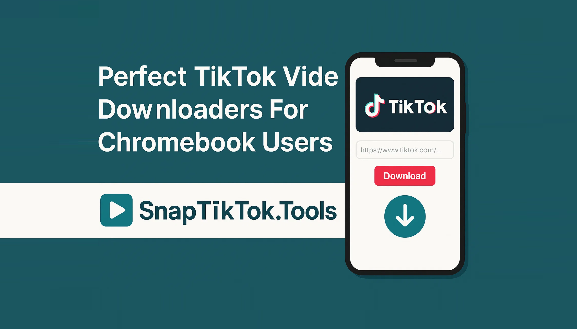 Perfect TikTok Video Downloaders For Chromebook Users